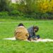 Une famille déplie une couverture de pique-nique sur l'herbe dans l'un des parcs ensoleillés de Londres lors d'un après-midi d'été