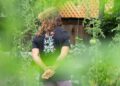 A visitor walks through a walled courtyard during the open gardens London weekend, surrounded by mature hedges.
