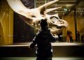 children-museum-fossils-unsplash - LONDONwebzine A young child reaches toward a fossil display during a rainy day London museum visit at the Natural History Museum