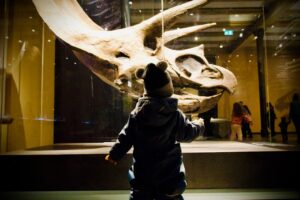A young child reaches toward a fossil display during a rainy day London museum visit at the Natural History Museum