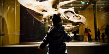 children-museum-fossils-unsplash - LONDONwebzine A young child reaches toward a fossil display during a rainy day London museum visit at the Natural History Museum