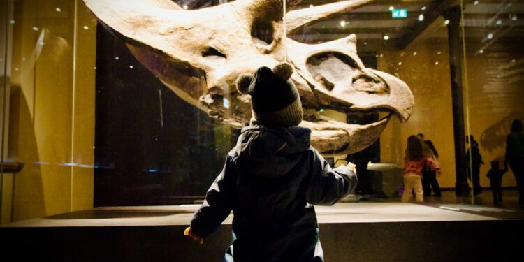 children-museum-fossils-unsplash - LONDONwebzine A young child reaches toward a fossil display during a rainy day London museum visit at the Natural History Museum