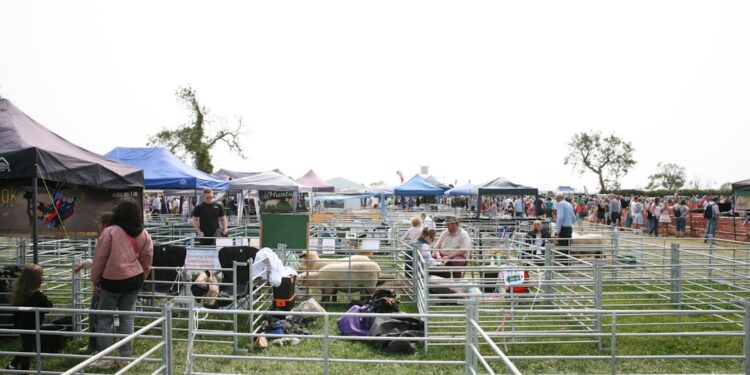 family-watching-sheep-shearing-outdoor-festival-unsplash - LONDONwebzine A family watches a sheep shearing display at the Lambeth Country Show in Brockwell Park, south London