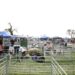 A family watches a sheep shearing display at the Lambeth Country Show in Brockwell Park, south London