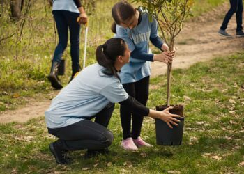 sustainable living in london leads the way