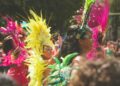 carnival-parade-dancer-costume-unsplash - LONDONwebzine A costumed dancer performing at Notting Hill Carnival in front of crowds on Ladbroke Grove