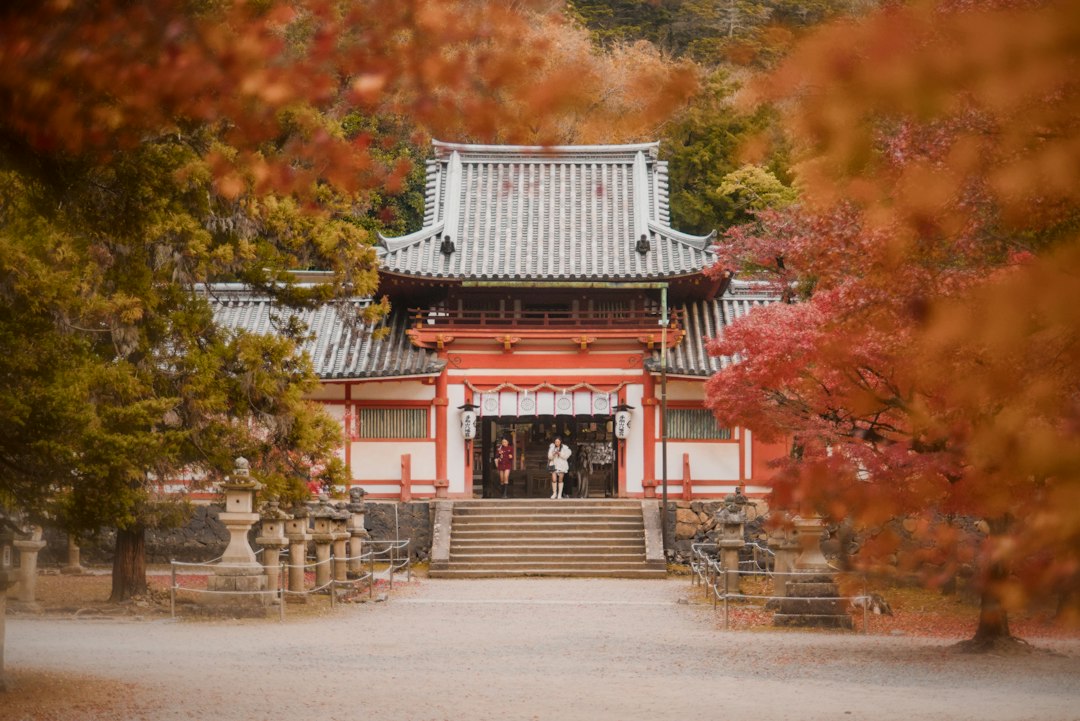 A couple visiting a Japanese temple surrounded by autumn foliage, a scene that defines long-haul destinations