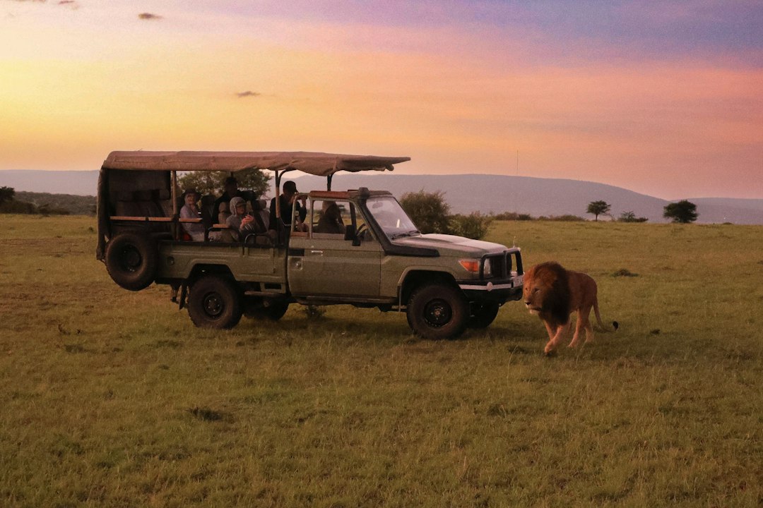A traveller on a Kenya safari jeep watching wildlife, a highlight of long-haul destinations chosen by London visitors